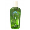 SHAMPOO ALOE 250 ML GRISI