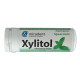 XYLITOL SPEARMINT CHEWING GUM MIRADENT