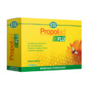 PROPOLAID FLU SABOR MENTA 10 SOBRES ESI